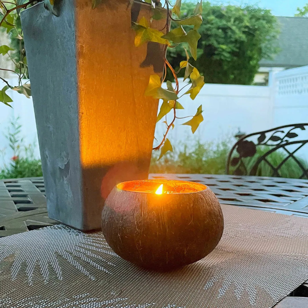 Premium Coconut Shell Candles