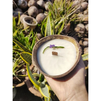 Premium Coconut Shell Candles