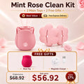 Best Value Set - Pink Rose Toy